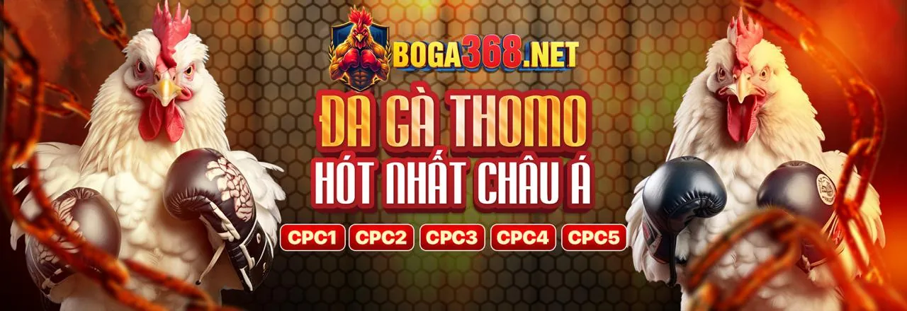 i9bet100 Trang Chủ Chính Thức - Nền Tảng Cá Cược An Toàn