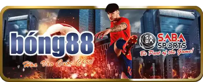Chương trình VIP và điểm thưởng i9bet100